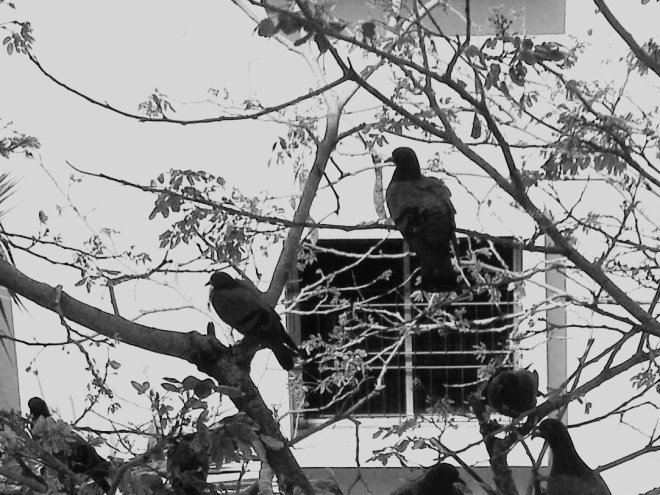 Been Inside of Out..